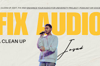 clean up, edit, fix and enhance your audio for university project, podcas
