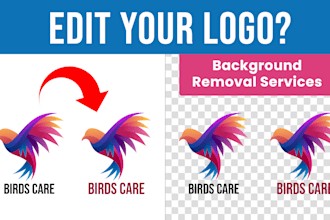 edit, vectorize, redesign, update, modify, and transparent your existing logo
