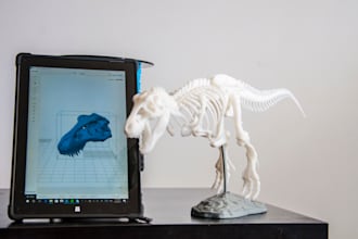 3d print your design and ship it anywhere in australia