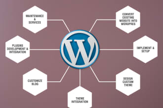 do professional wordpress development