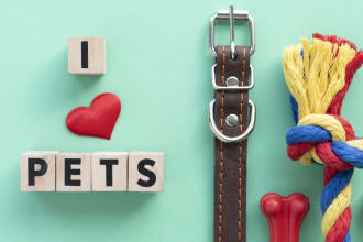do a pet guest post on my high da pet blog