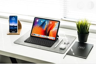 professionally write content for your blogs