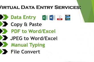 create pdf to word, pdf to excel, data entry, quick data conversion