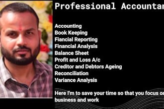 be your virtual accountant and book keeper