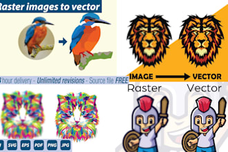 redraw, vectorize any kind of image