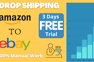 be your expert ebay virtual assistant