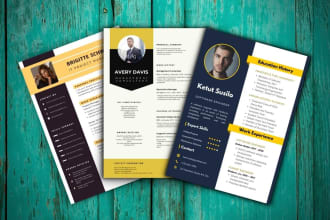 design your professional resume, and CV in PDF or ms word format