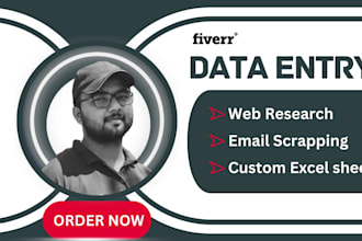 do excel data entry, web scraping, mining, email lists , lead generation