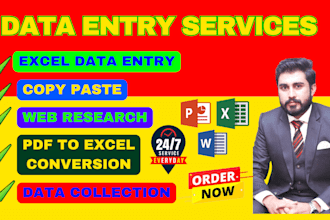 do excel data entry, copy paste, web research, and email list building