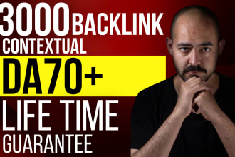 usa backlink dr 70 plus web 20 contextual link building