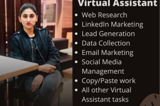 be your professional virtual assistant and web researcher