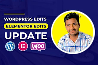 do elementor edit or update content and modify wordpress website changes