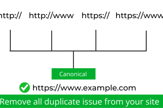 fix the canonical issues from your website