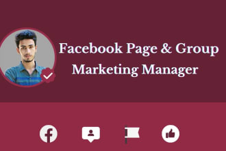 be your facebook page and group marketing manager