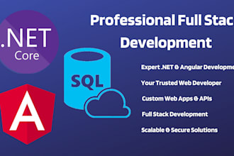 create high performance angular and dotnet core web applications
