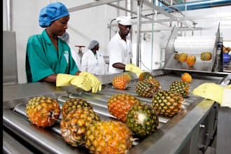 do research and analysis on the ghanaian markets and business sectors