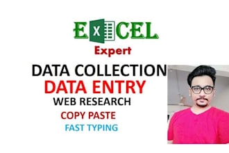 excel data input, data collection,