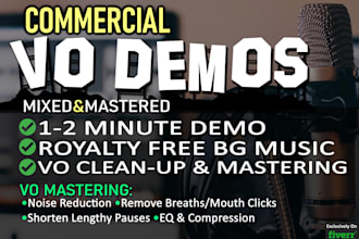 produce your vo demo reel