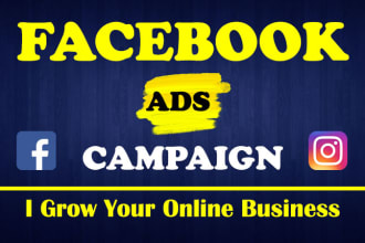 facebook advertising, fb ads campaign and instagram ads, setup shopify