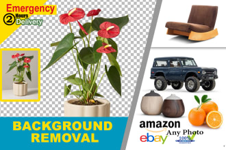 any 100 photos background removal quickly