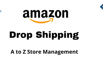 manage fully automate your amazon dropshipping store