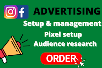 create and run facebook, instagram ads campaign