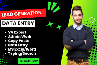 do data entry, excel data entry, lead generation and web research