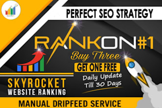 do 30 days drip feed monthly SEO link building service