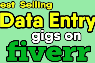 do  data entry for your business