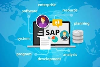 do sap abap development and provide sap consultation
