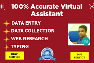 do data entry job, excel data entry, web research,leadgen