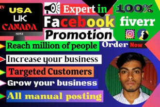 do organic facebook promotion in USA, UK for your business