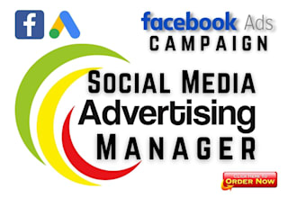 create and manage facebook ads campaign as a social media ads manager