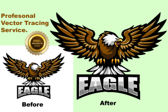 convert raster to vector, vector tracing service
