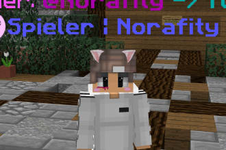 make you a minecraft HD skin for badlion client