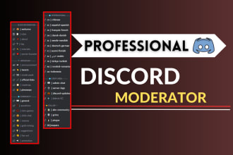 expert discord moderator for crypto and meme coin communities