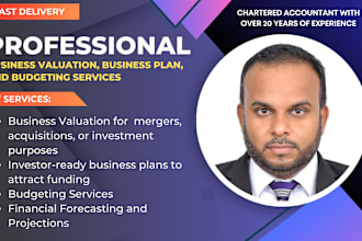 do valuation, business plans, budgeting, and forecasting