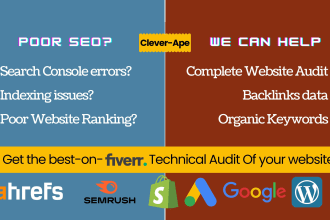 perform website SEO audit and offer search console and ahref errors fixing