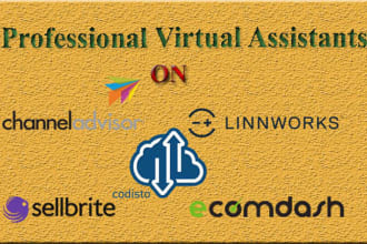 virtual assistant on channeladvisor, linnworks, sellbrite, codisto, ecommdesh