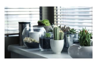 write engaging SEO gardening, indoor plants, and hydroponics articles