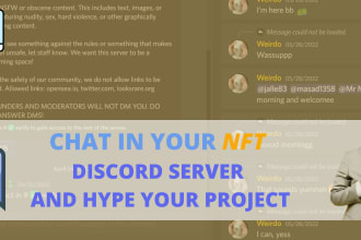 chat and engage in your nft discord server and hype your project