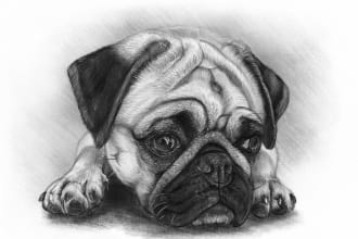 draw a beautiful pet portrait from a photo