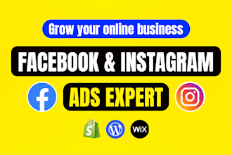 set up and manage shopify facebook ads and instagram ads campaign