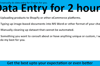 data entry for 2 hours