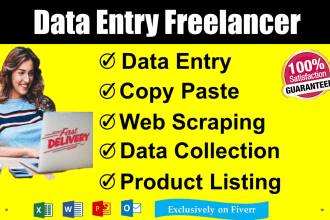 do data entry, copy paste, web scraping and excel data entry