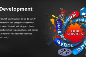 design an interactive website your business
