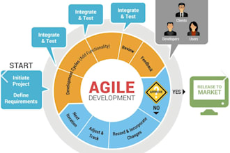 be your pmp project manager and execute project plans