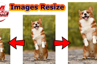 do bulk resize image,photo resize,re scale photoshop work within 1h
