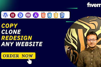 develop design redesign copy clone website wordpress website