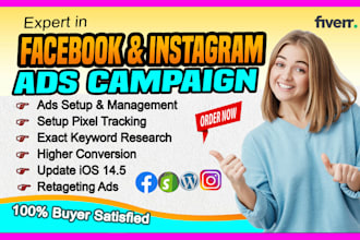 be your facebook ads campaign manager to run fb ads campaign